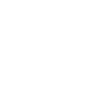 Silhouette icon of Zeus Ion 510 battery