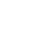 Checklist icon – Blog Article section