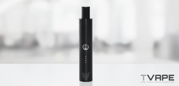 Linx Eden vaporizer Reveiw