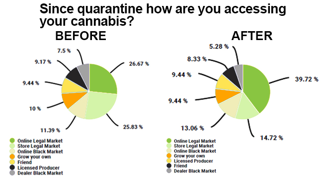 How are people accessing cannabis during the pandemic