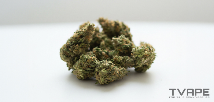 Hybrid cannabis strain: a close-up view