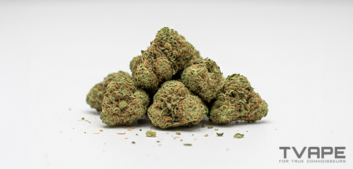 Indica weed strain: a close-up view