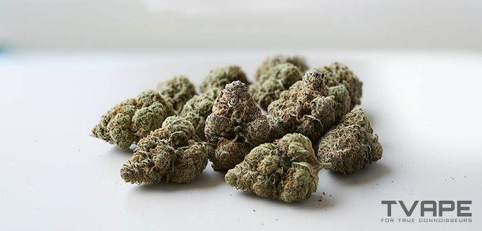 Kush-style weed strains - a close-up view