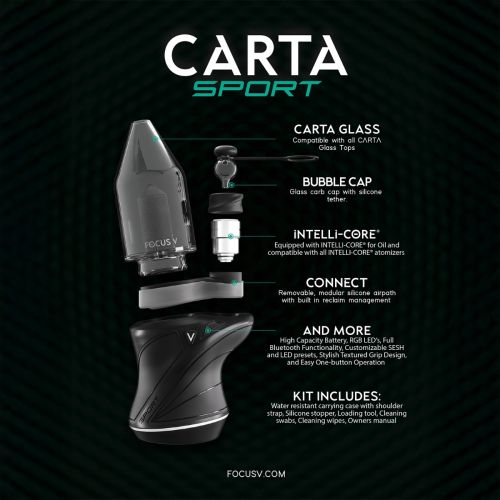 Focus V Carta Sport