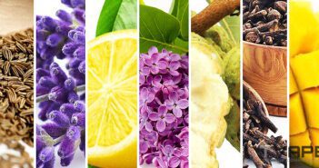 What’s the Best Temperature Settings for Vaping?