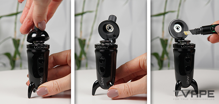 How to Use the Lookah Ant Wax Pen