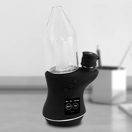 Focus V Carta 2 thumbnail view